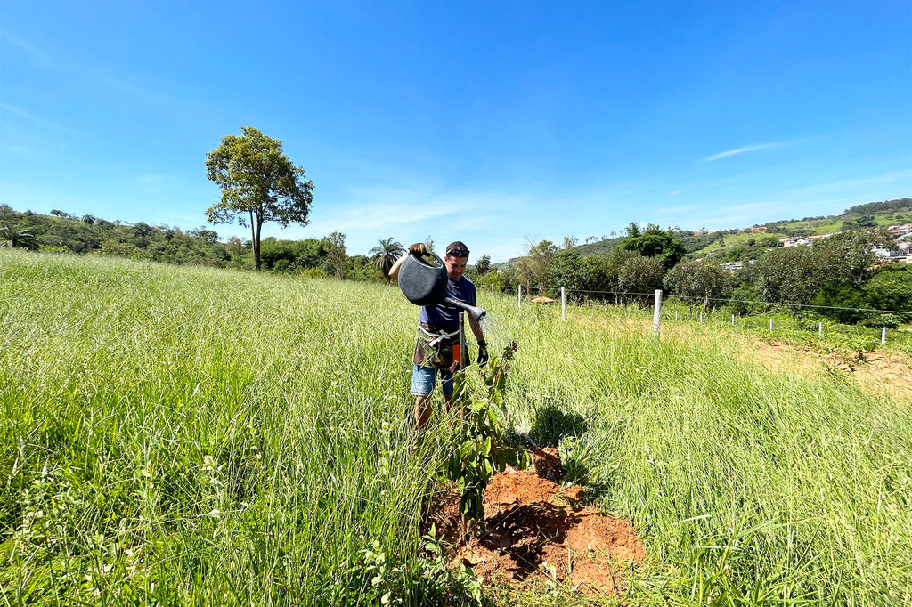 Secret Gardeners: Exploring the Lush Gardens of Brazil with João